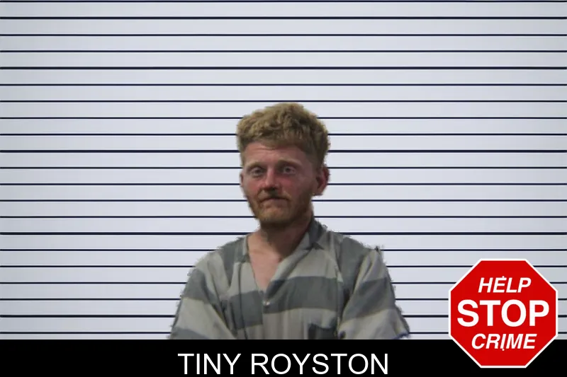 Tiny Royston mugshot