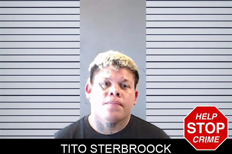 Tito Sterbroock mugshot