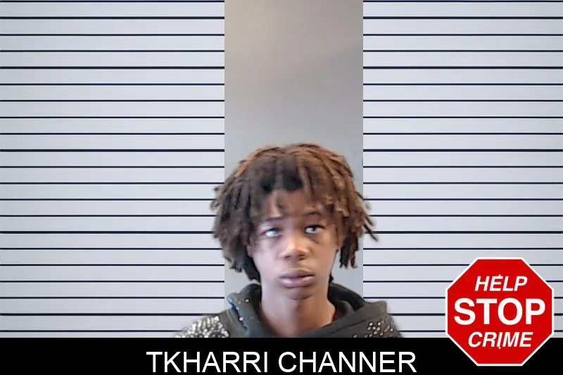 Tkharri Channer mugshot – DeKalb County , Georgia Tkharri Channer mugshot