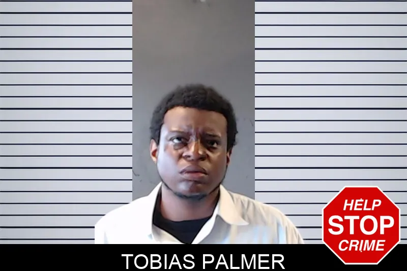 Tobias Palmer mugshot