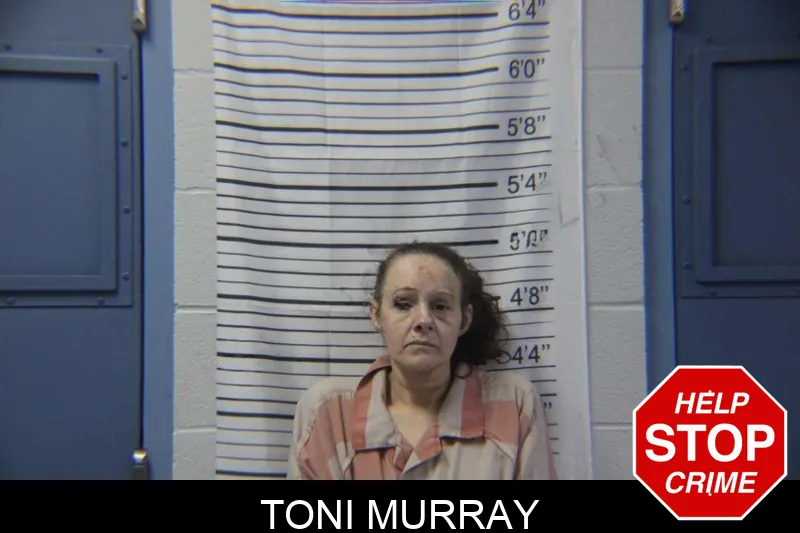 Toni Murray mugshot – Stephens County , Georgia Toni Murray mugshot