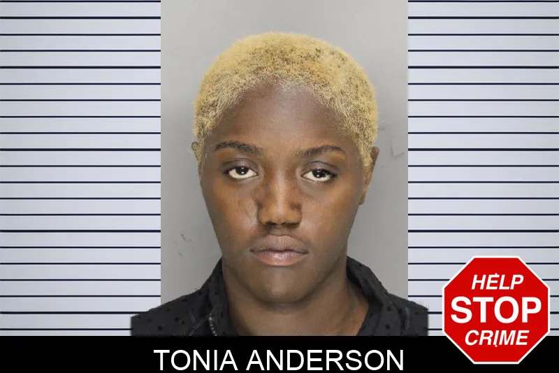 Tonia Anderson mugshot