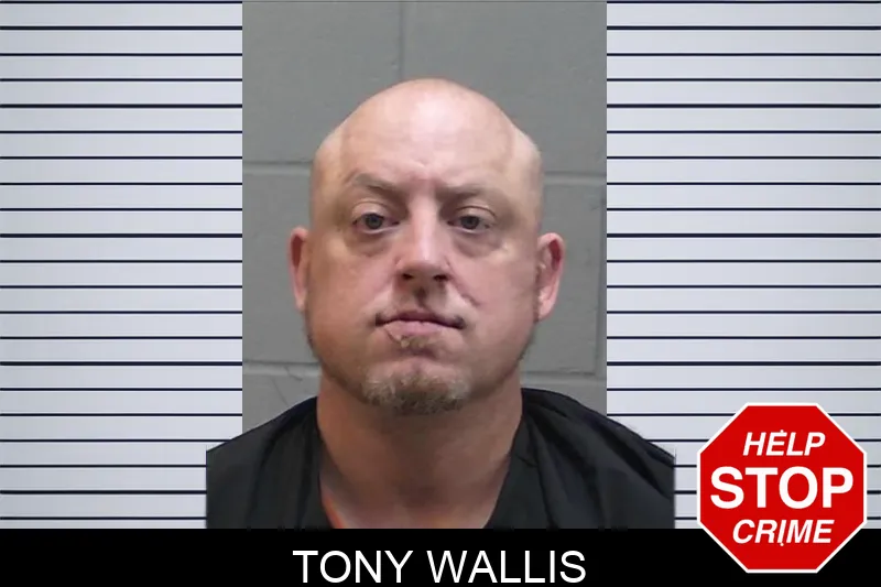 Tony Wallis mugshot