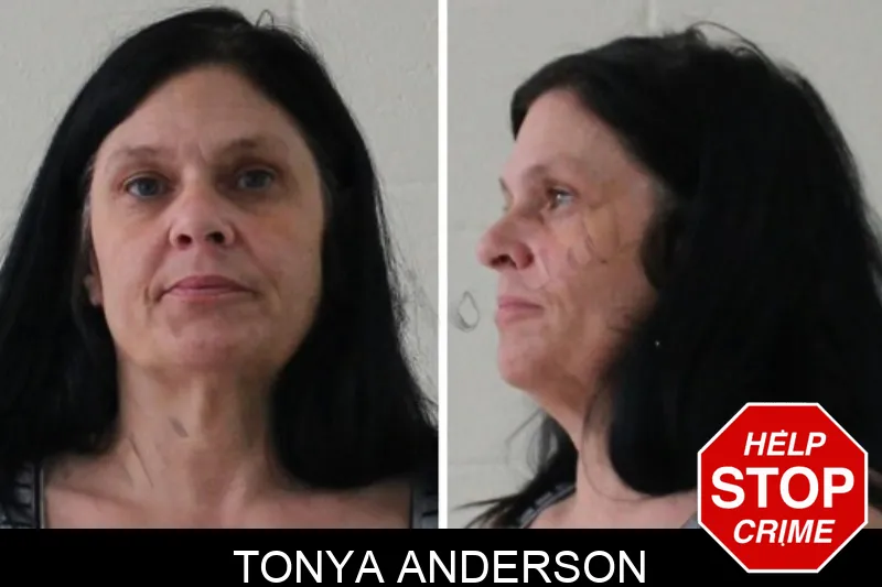 Tonya Anderson mugshot