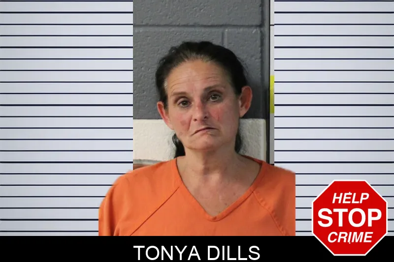 Tonya Dills mugshot