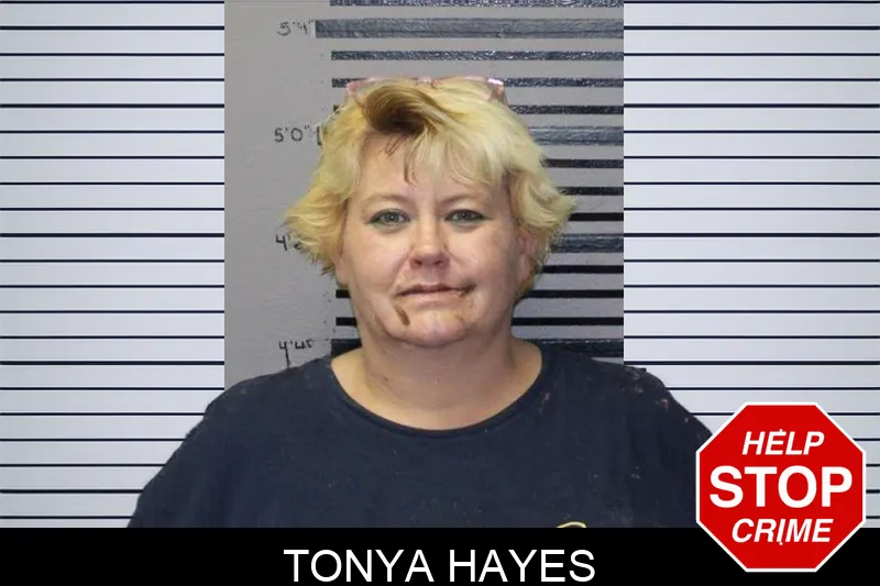 Tonya Hayes mugshot