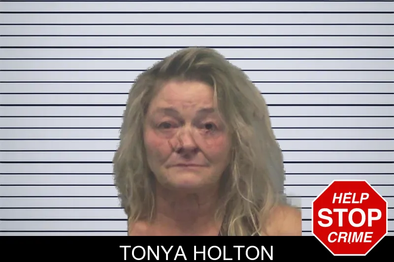 Tonya Holton mugshot