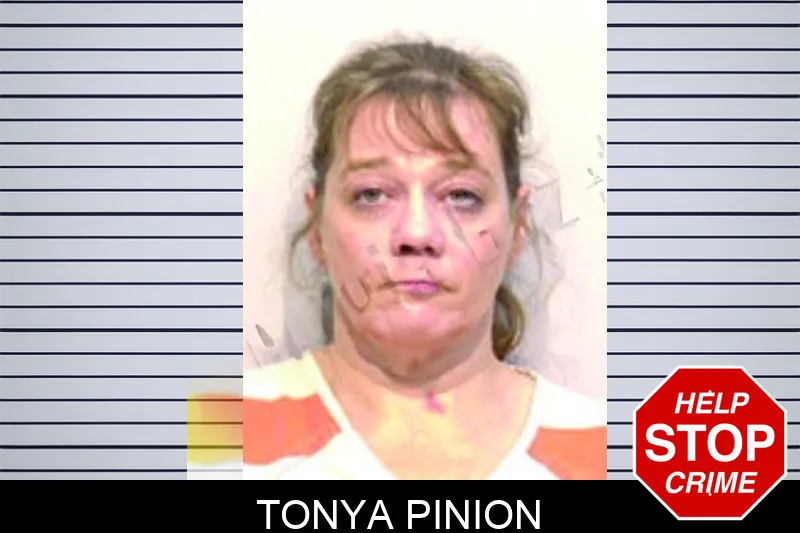 Tonya Pinion mugshot – Bartow County , Georgia Tonya Pinion mugshot