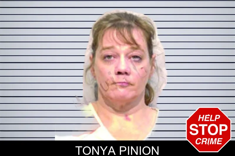 Tonya Pinion mugshot