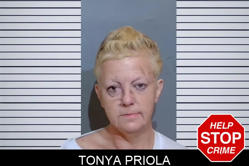Tonya Priola mugshot – Glynn County , Georgia Tonya Priola mugshot