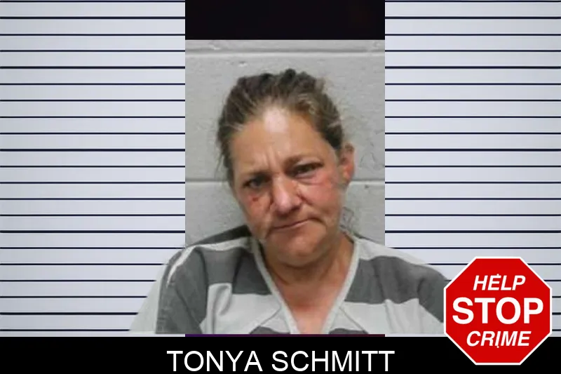 Tonya Schmitt mugshot