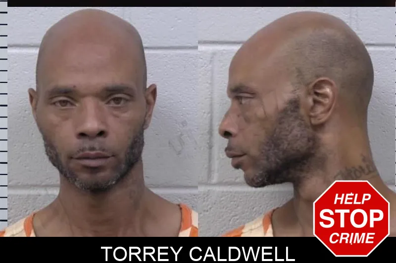 Torrey Caldwell mugshot – Paulding County , Georgia Torrey Caldwell mugshot