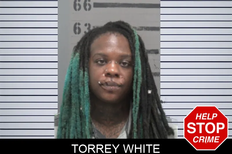 Torrey White mugshot