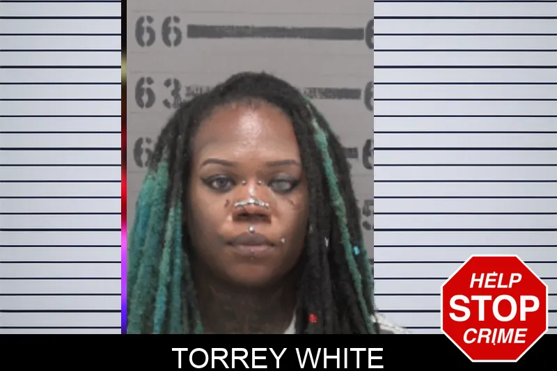 Torrey White mugshot – Dougherty County , Georgia Torrey White mugshot