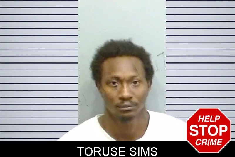 Toruse Sims mugshot