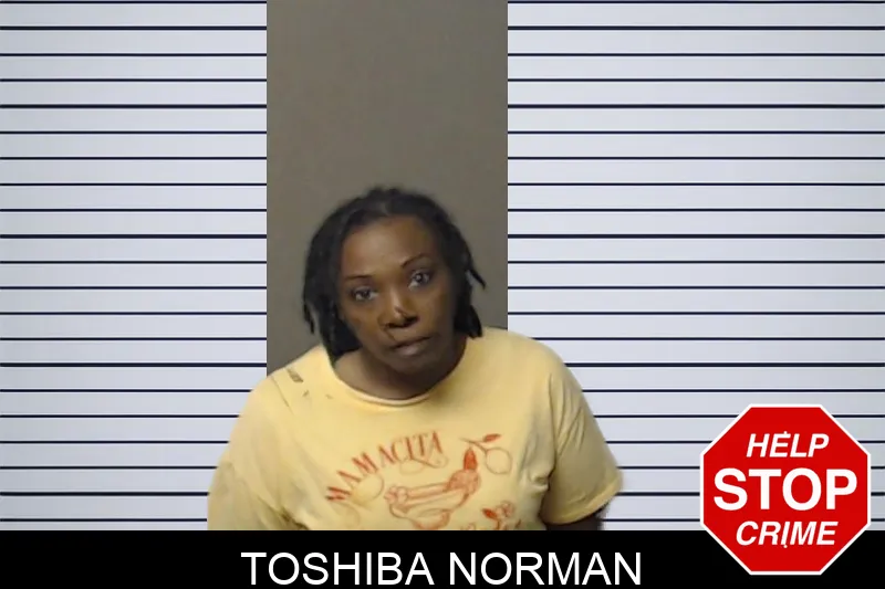 Toshiba Norman mugshot