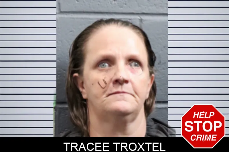 Tracee Troxtel mugshot – Forsyth County , Georgia Tracee Troxtel mugshot