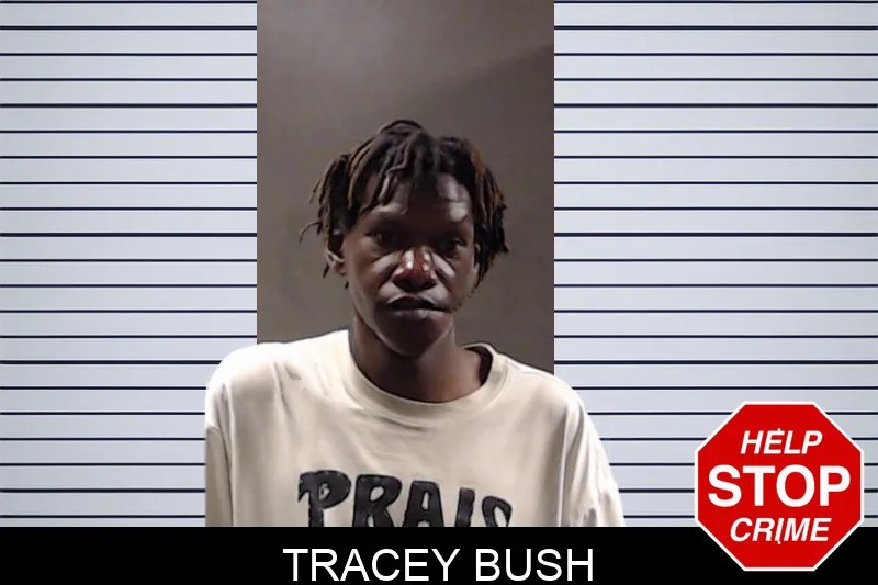 Tracey Bush mugshot