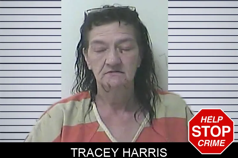 Tracey Harris mugshot