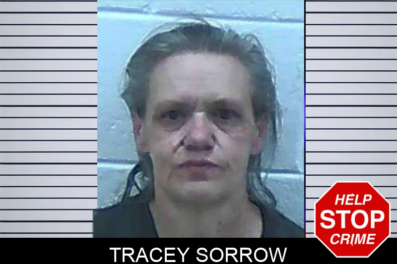 Tracey Sorrow mugshot