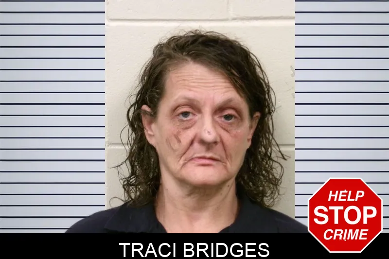 Traci Bridges mugshot