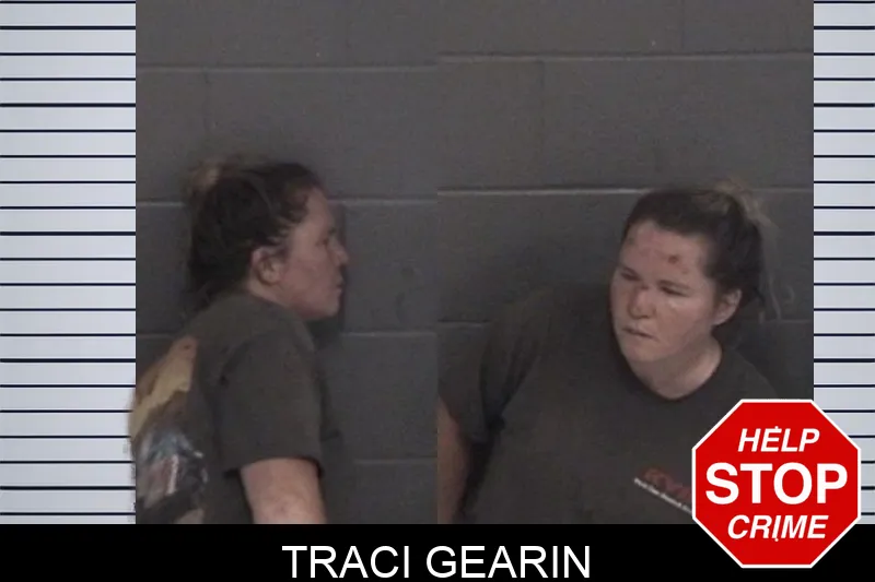 Traci Gearin mugshot – Barrow County , Georgia Traci Gearin mugshot
