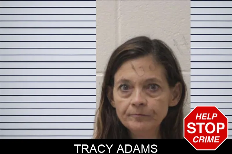 Tracy Adams mugshot