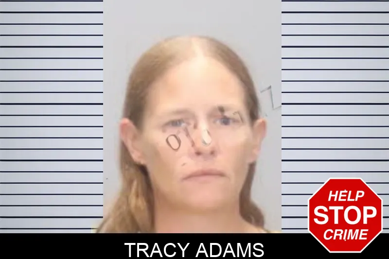 Tracy Adams mugshot