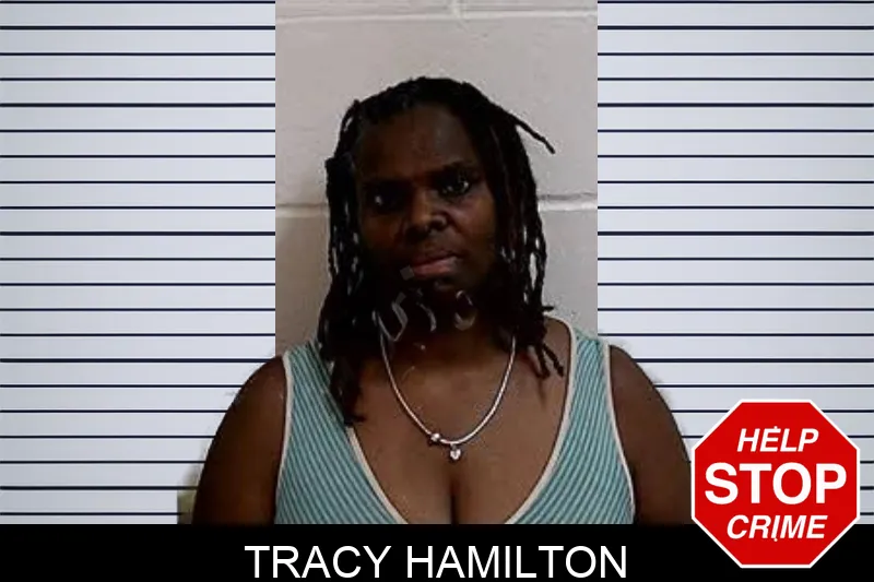 Tracy Hamilton mugshot