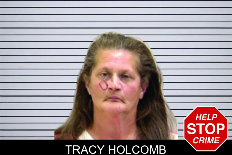 Tracy Holcomb mugshot – Bartow County , Georgia Tracy Holcomb mugshot