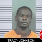 Tracy Johnson mugshot