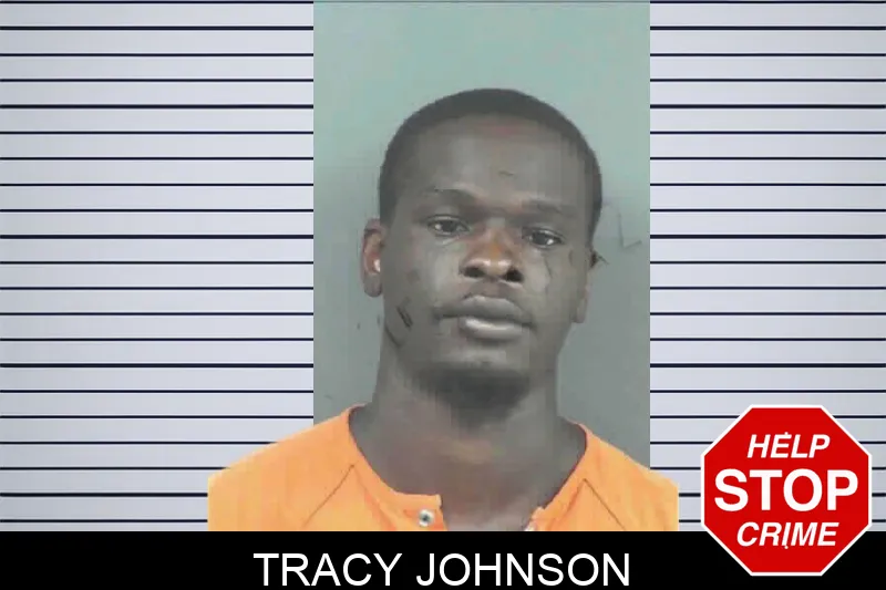 Tracy Johnson mugshot