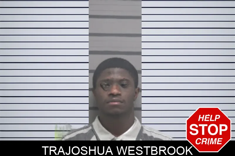 Trajoshua Westbrook mugshot – Dougherty County , Georgia Trajoshua Westbrook mugshot