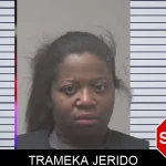 Trameka Jerido mugshot
