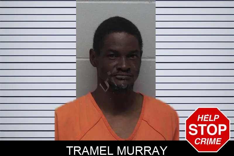 Tramel Murray mugshot – Laurens County , Georgia Tramel Murray mugshot