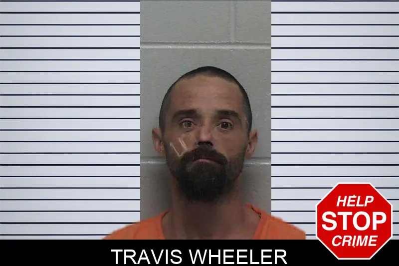 Travis Wheeler mugshot