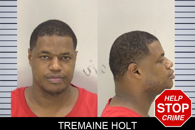 Tremaine Holt mugshot