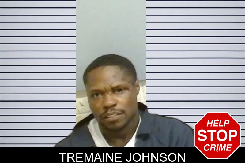 Tremaine Johnson mugshot
