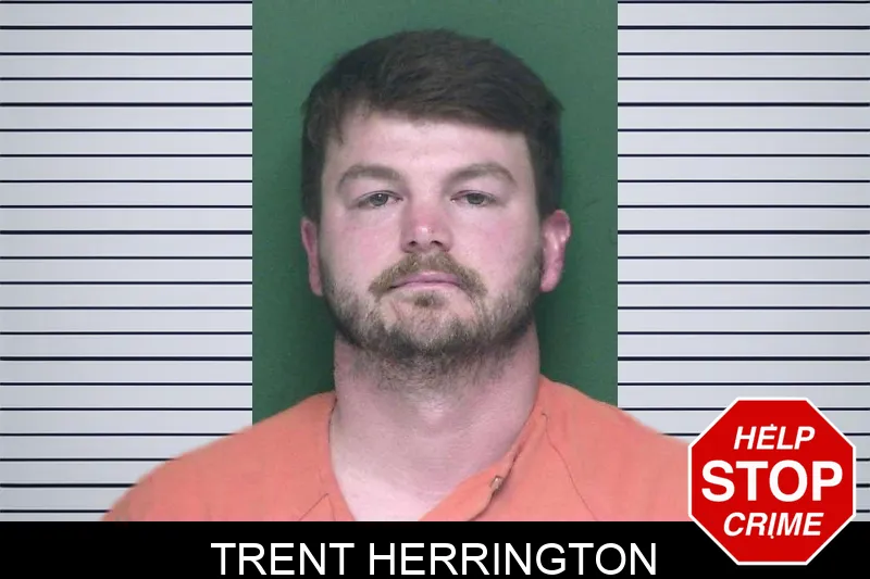 Trent Herrington mugshot
