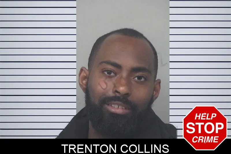 Trenton Collins mugshot – Gwinnett County , Georgia Trenton Collins mugshot