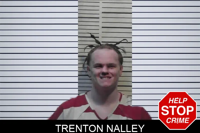 Trenton Nalley mugshot