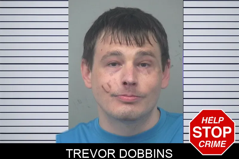 Trevor Dobbins mugshot – Gwinnett County , Georgia Trevor Dobbins mugshot