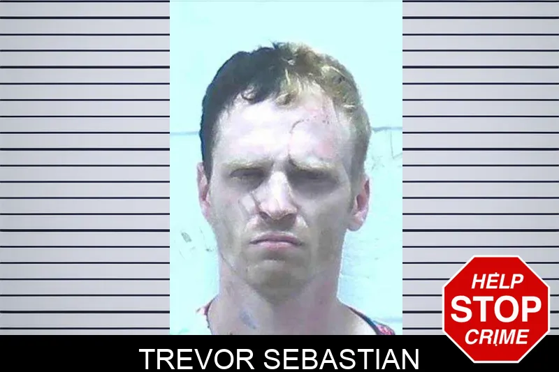 Trevor Sebastian mugshot