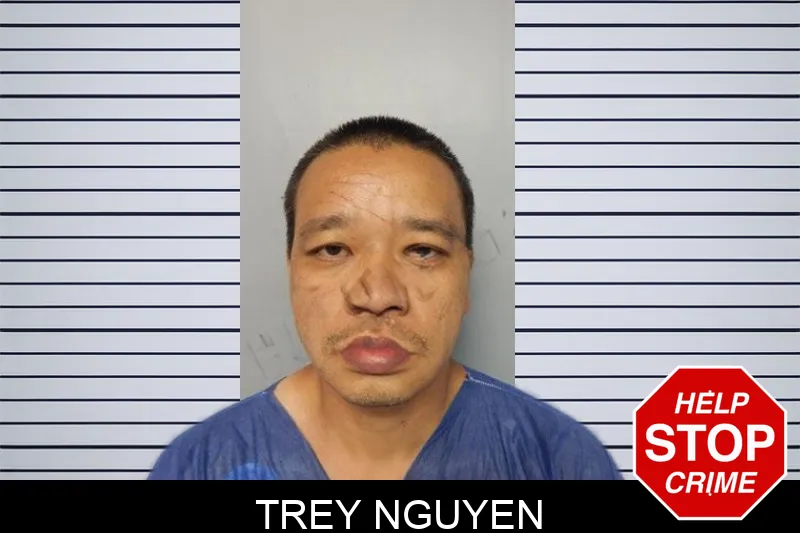Trey Nguyen mugshot