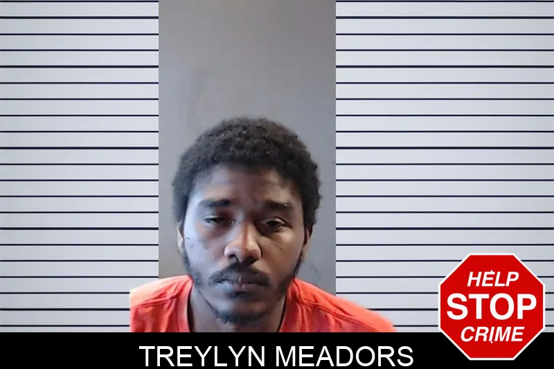 Treylyn Meadors mugshot