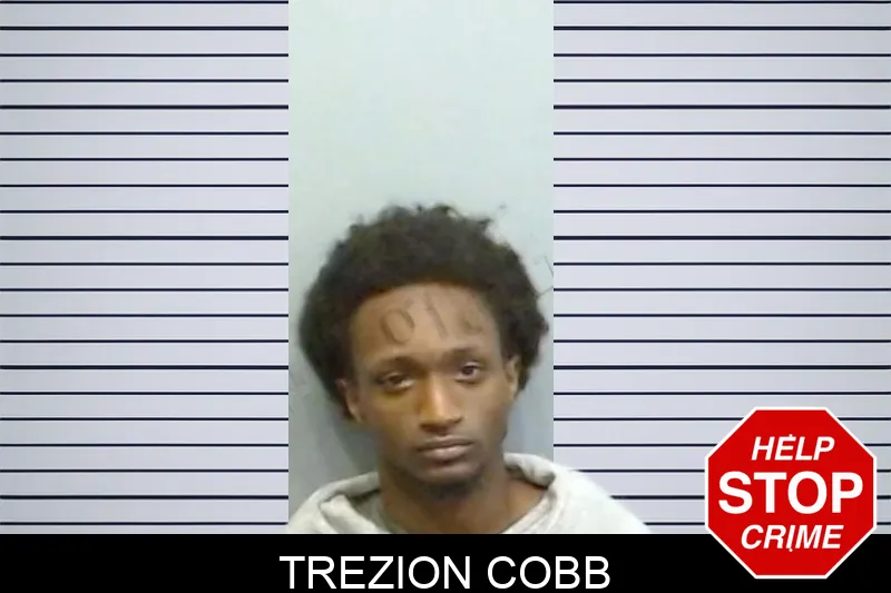 Trezion Cobb mugshot – Fulton County , Georgia Trezion Cobb mugshot
