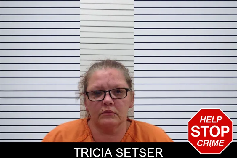Tricia Setser mugshot – Pickens County , Georgia Tricia Setser mugshot