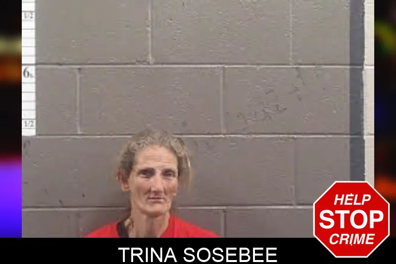 Trina Sosebee mugshot