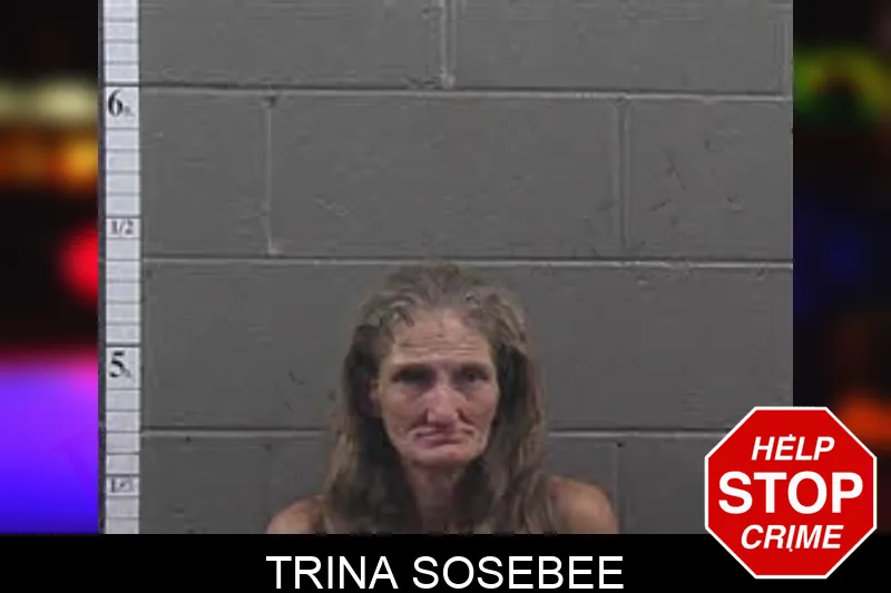Trina Sosebee mugshot