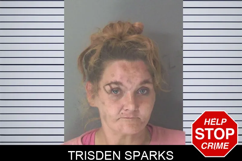 Trisden Sparks mugshot